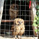 ���� Aleksandr, ���������, 39 ��� - ��������� 17 ������� 2015 � ������ ���� ����������