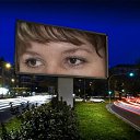  Evgenija, , 44  -  23  2015    