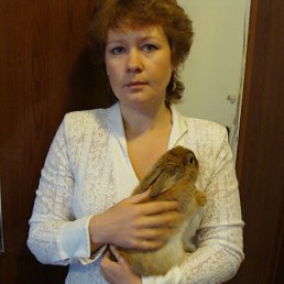 , 55, 
