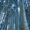 ���� �������, ������ - ��������� 4 ������� 2015 � ������ ������� "������ ������"�