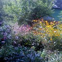 ��� ����� �� ������� ������