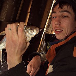 ����, ������������, 40 ���