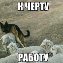 ����� �������� ����� � ���� �� ����� �������� ��������) �� ������� �������..������ �������)�