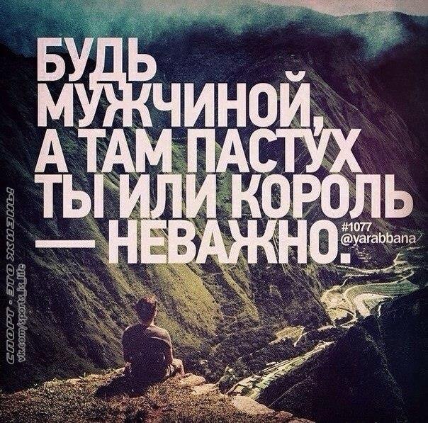  -   - 6  2015  06:11