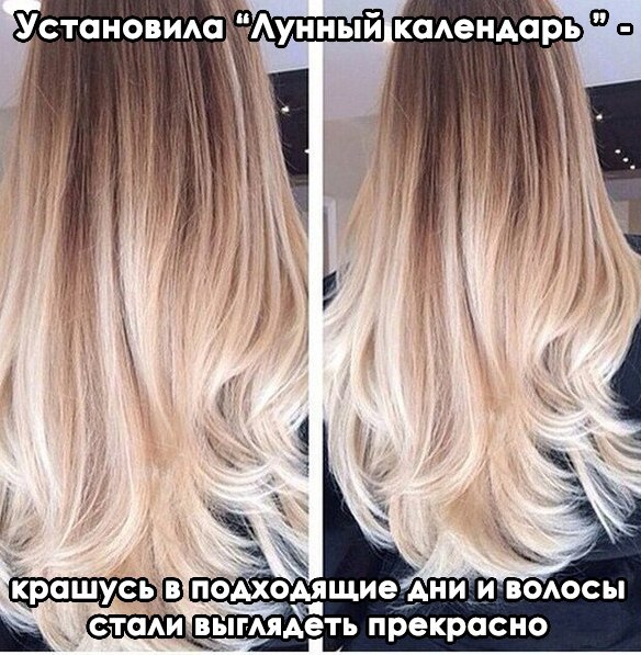      !    ,     ...