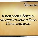 ���� ��� �����..., ������ - ��������� 7 ����� 2015 � ������ ������ ��������