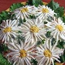 ���� ���������, �����-��������� - ��������� 5 ������ 2015 � ������ ������ ��������