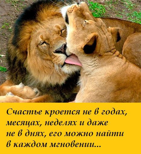  - 12  2015  12:05