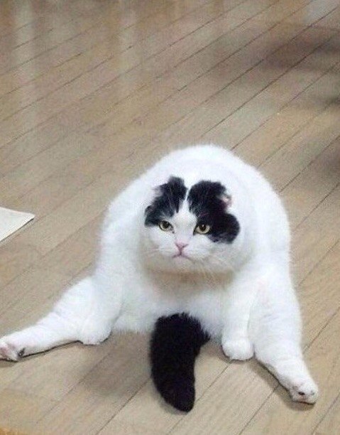 : 