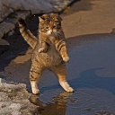 ���� ������, ������, 48 ��� - ��������� 16 ������� 2015