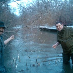 ���� ������, �����������, 55 ��� - ��������� 27 ������� 2014