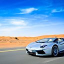 ���� ����, ��������, 41 ��� - ��������� 24 ������ 2015 � ������ ������ ��������