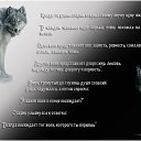���� �����, ������ - ��������� 8 ������ 2015 � ������ ������ ��������