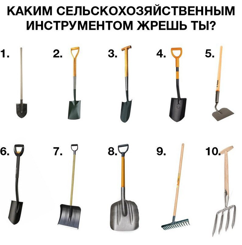     - 23  2015  11:20