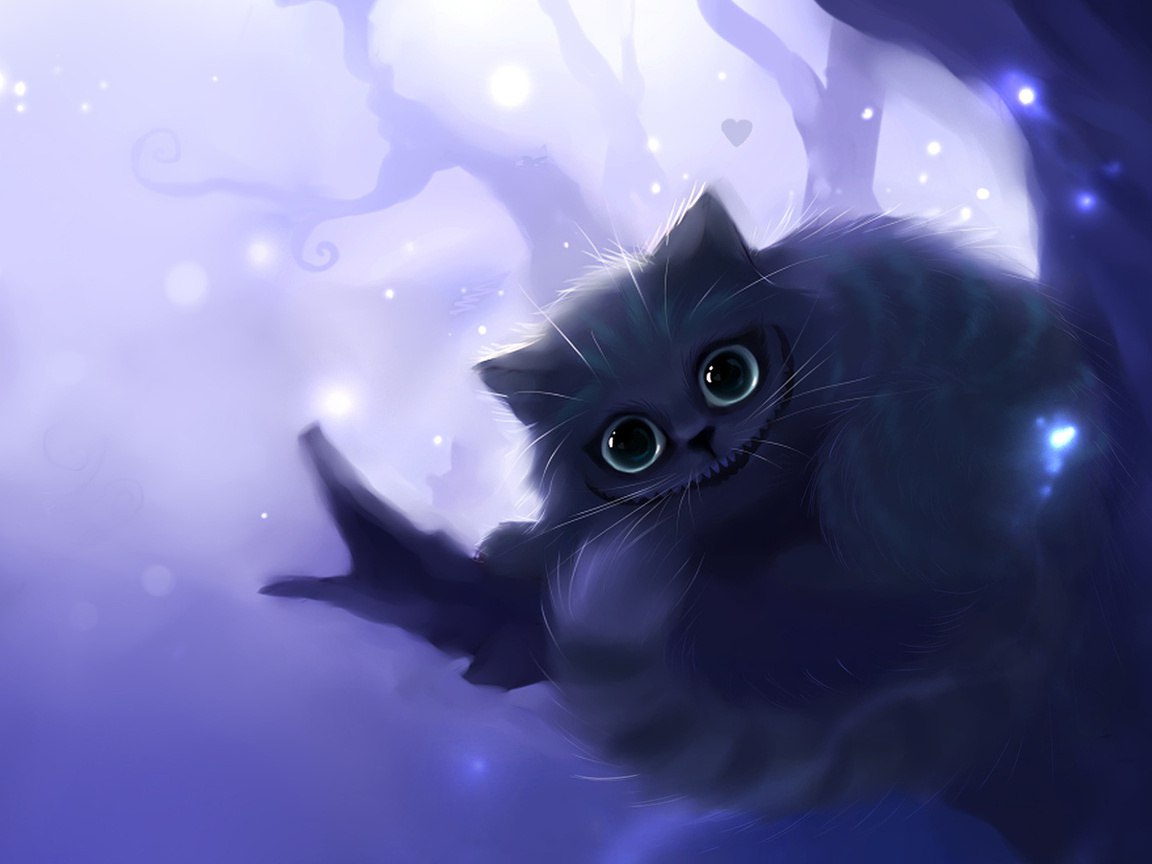Magic the cookie - 16  2015  18:15