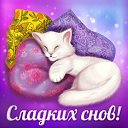 ���� �����, ��������, 70 ��� - ��������� 2 ����� 2015 � ������ �������� ��������