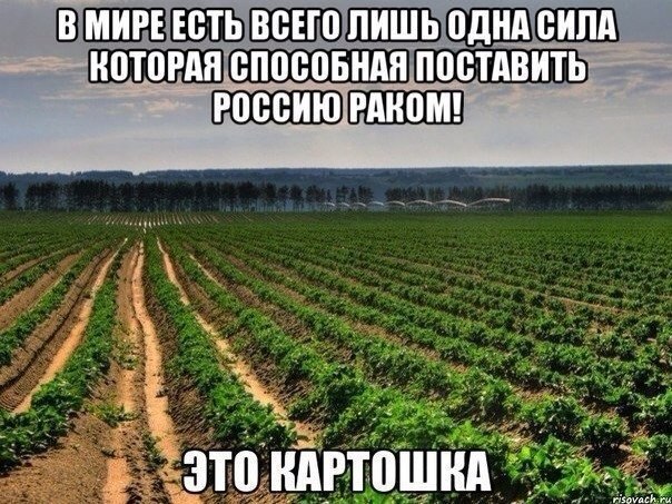   - 2  2015  23:55