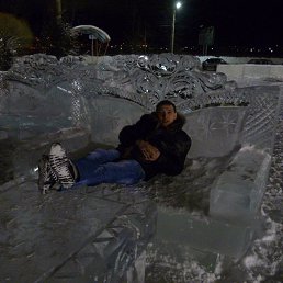 ������, ��������, 41 ���