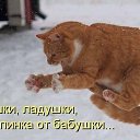 ���� �����, �����-���������, 50 ��� - ��������� 12 ����� 2015 � ������ ������ ��������