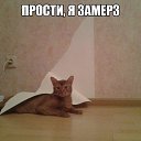 ���� �����, �������� - ��������� 6 ������� 2015 � ������ ������ ��������
