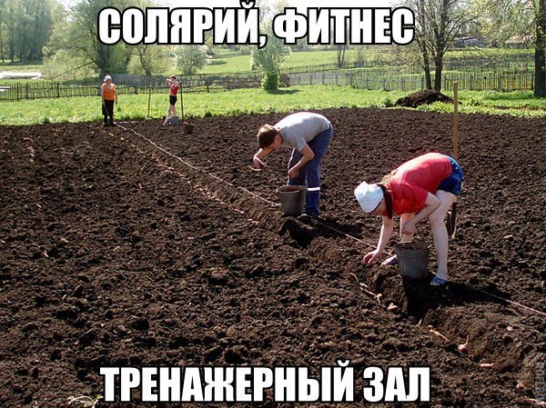     - 20  2015  13:20