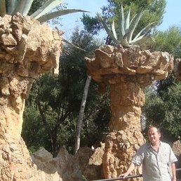 ����, ������