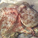 ���� �����, �����-���������, 61 ��� - ��������� 21 ������ 2015 � ������ ������ 2015�