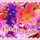 ���� �������, �������, 46 ��� - ��������� 26 ����� 2015 � ������ �������� ��������