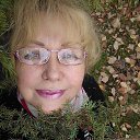  ,  -  10  2015    2014 