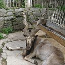 ���� Lyubov, �������� - ��������� 31 ������� 2014 � ������ ������ ��������