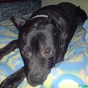 ���� �������, ���� - ��������� 31 ������� 2014 � ������ ������ ��������