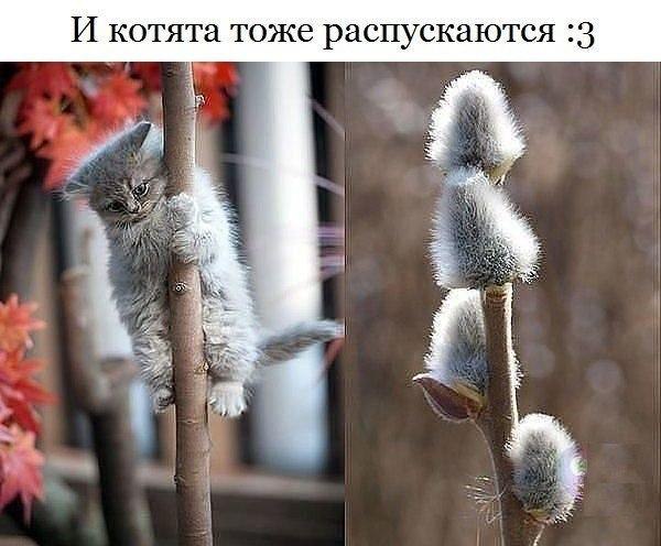    :D - 27  2015  17:38