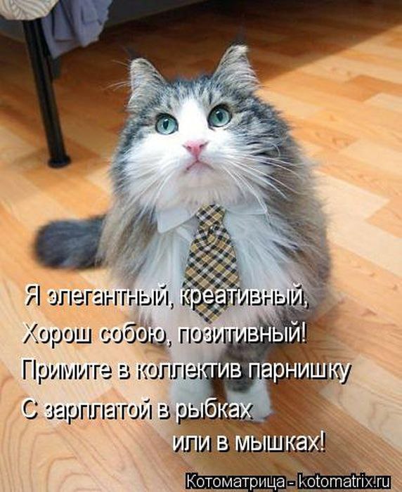  - 18  2015  16:22