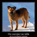 ���� �������, ������ - ��������� 15 ����� 2015 � ������ ��������������