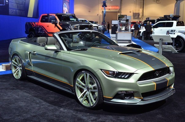 Ford Mustang Customs - 7