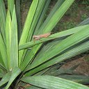 ���� ������, �������, 80 ��� - ��������� 19 ������� 2014 � ������ ���� ����������