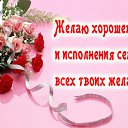 ���� ������, ����������, 65 ��� - ��������� 11 ������� 2015 � ������ �������� ��������