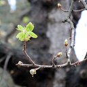  , , 60  -  1  2015   ,29.03.15.  