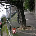  Nadiusha Fedorovna, , 81  -  20  2014    