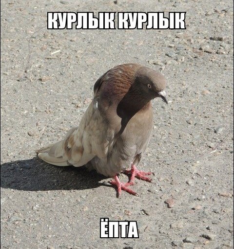  - 4  2015  17:27