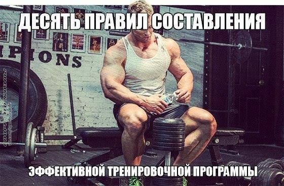 Десять правил составления эффективной тренировочной программы.Вот, что вам необходимо знать…- ...