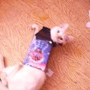  , , 51  -  14  2014    .