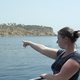 �����, ������, 39 ���