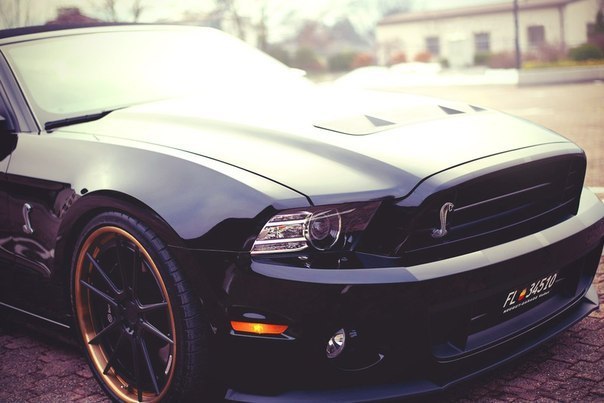 Ford Mustang Shelby GT500 - 6