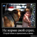 ���� ������, ����, 44 ���� - ��������� 22 ������� 2014 � ������ ������ ��������