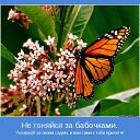 ���� �������, �����, 70 ��� - ��������� 21 ������� 2015 � ������ ������ ��������
