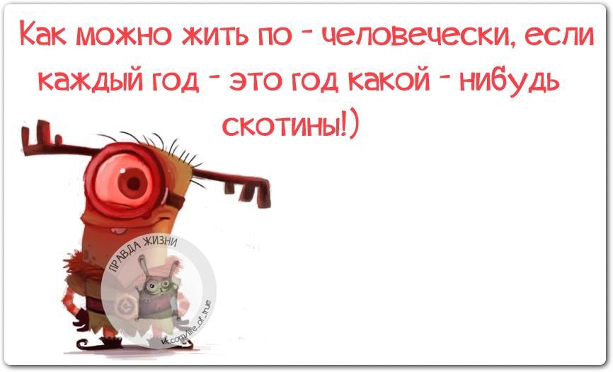 Не по человечески. Как можно жить по человечески если каждый год какой нибудь скотины. Как каждый год можно жить по человечески. Если каждый год какого-нибудь животного. Год скотины как жить по человечески если.