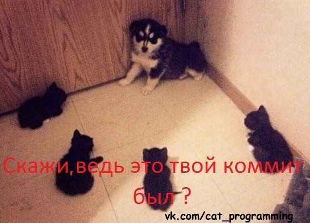 /zev/null - 14  2015  08:15