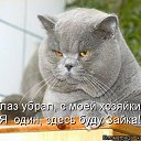  ****,  -  11  2015    
