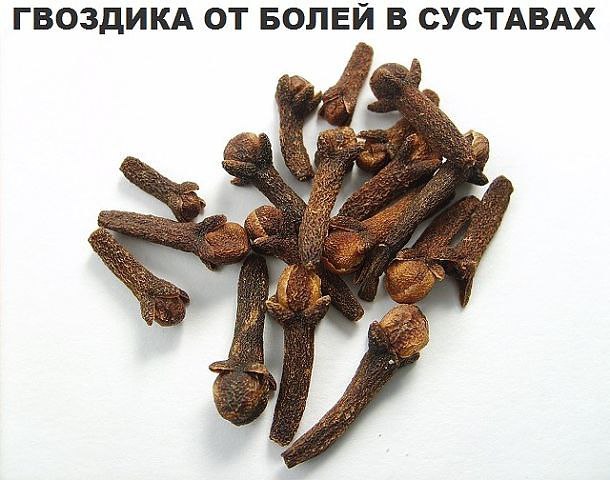 Боль в суставах прогонит гвоздика! Боль в спине, в локтях и коленках, при артрозах, ревматизме, ...